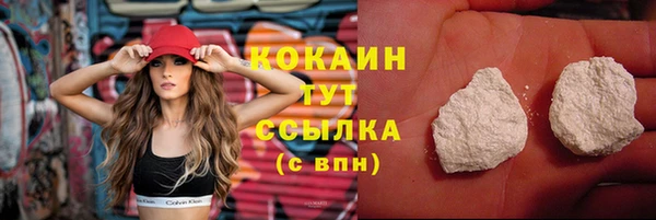 PSILOCYBIN Богданович