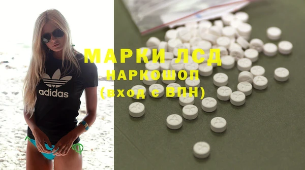 PSILOCYBIN Богданович