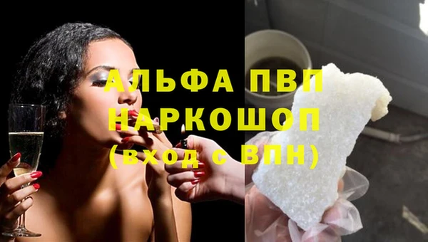 PSILOCYBIN Богданович