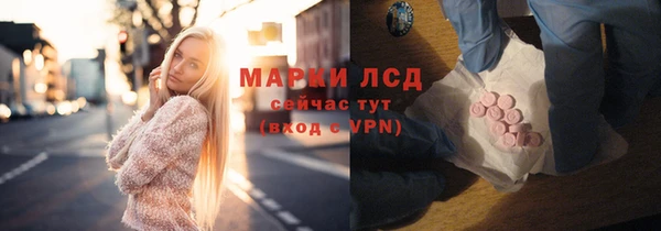 шишки Богородицк