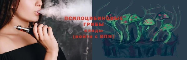 шишки Богородицк