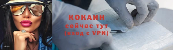 шишки Богородицк