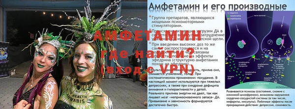 шишки Богородицк