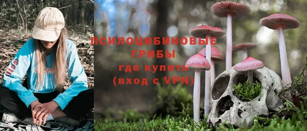 спайс Богородск