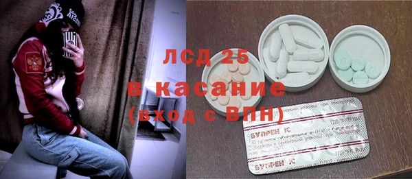 шишки Богородицк