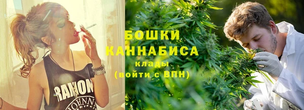 шишки Богородицк