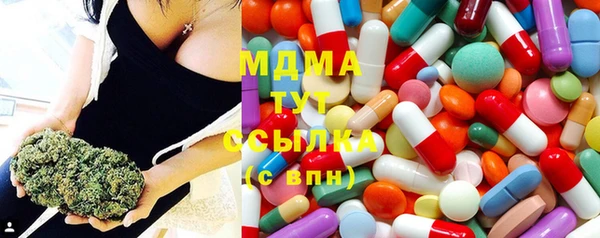 PSILOCYBIN Богданович