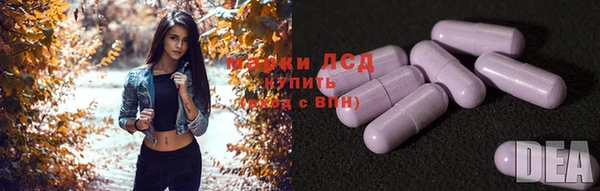 шишки Богородицк