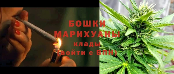 PSILOCYBIN Богданович