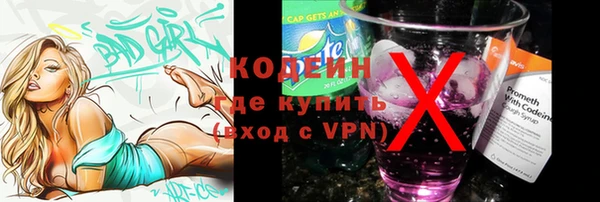 шишки Богородицк