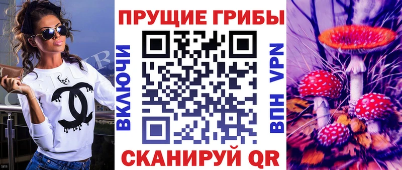 купить закладку  Большой Камень  гидра ONION  Псилоцибиновые грибы ЛСД 